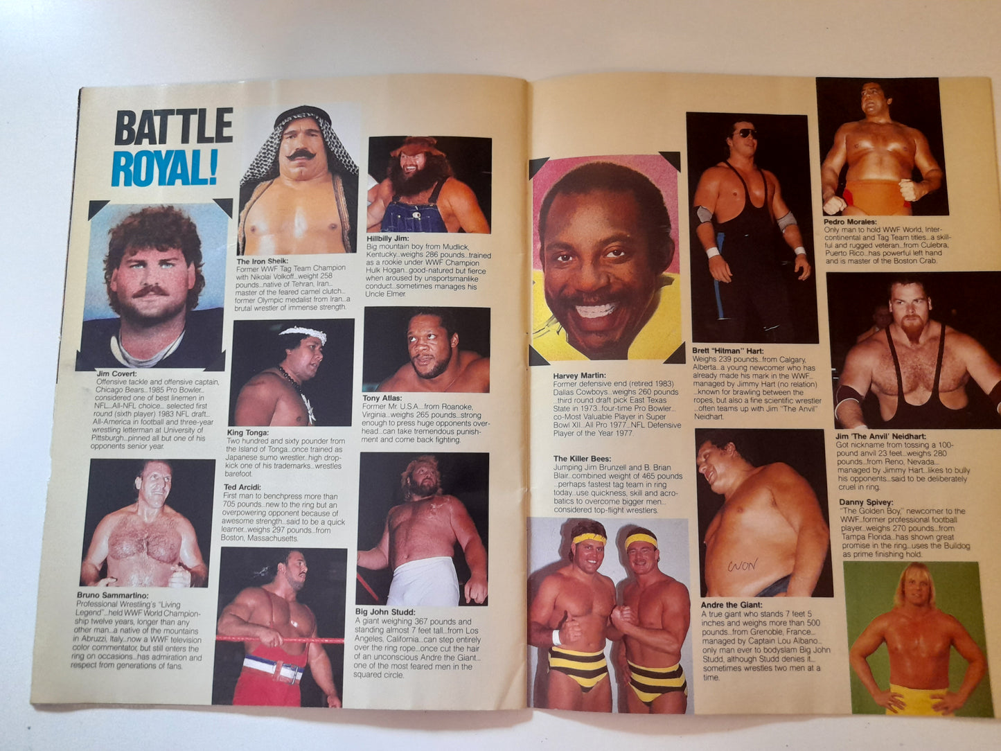 WWF Wrestlemania 2 - Hulk hogan Vs KingKong Bundy - Official Event Program