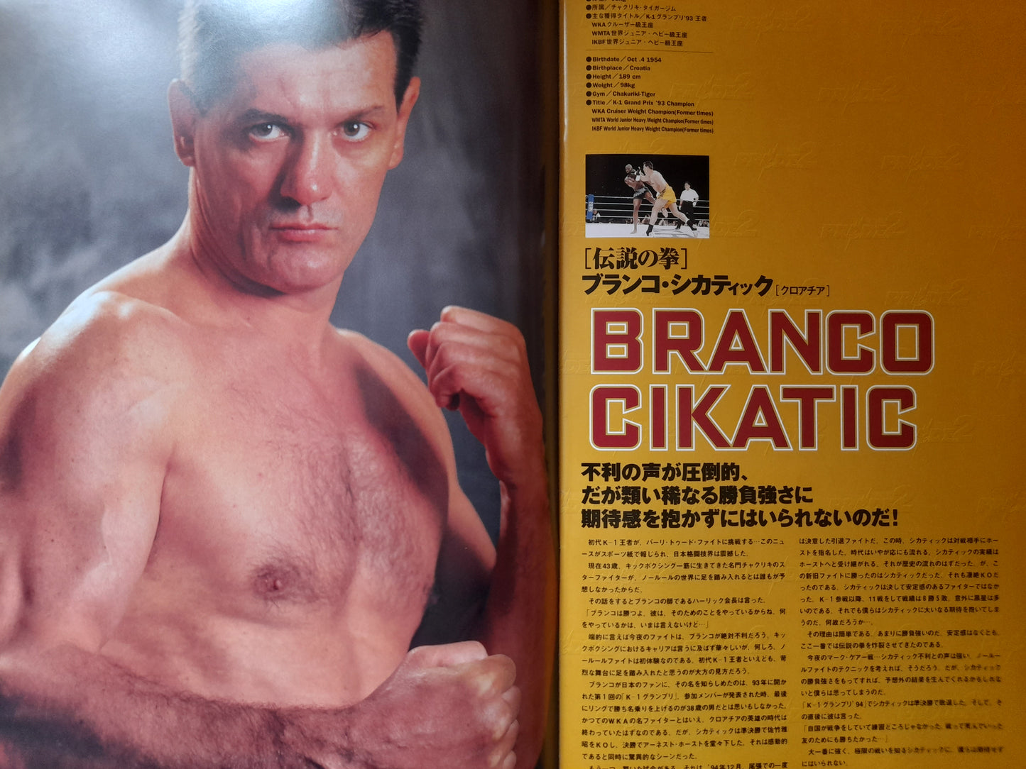 Pride Fighting Championship 2 - Kerr Vs Cikatic (1998) - Official Event Program