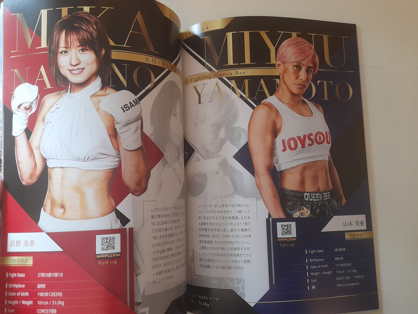 RIZIN 14 - Floyd Mayweather Vs Tenshin Nasukawa (2018) Official Event Program