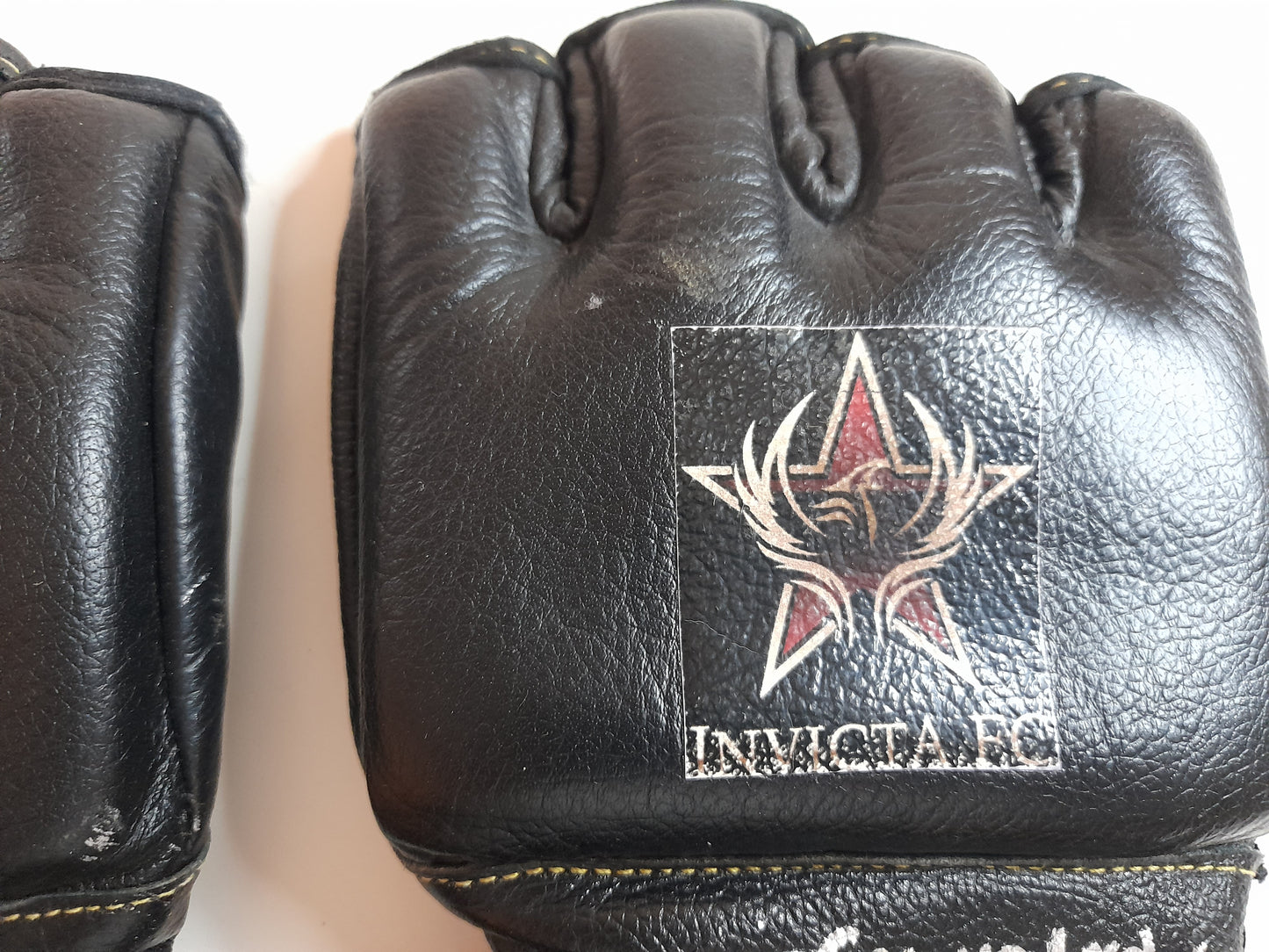 Alexa Grasso Fight Worn Invicta FC 10 MMA Gloves (2014) [FIGHT WORN]