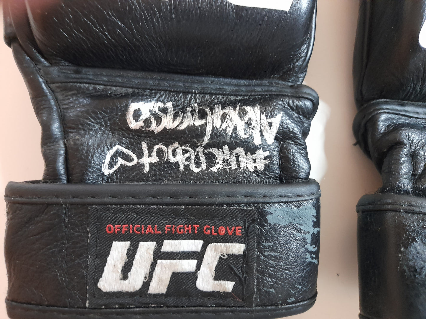 Alexa Grasso Fight Worn UFC Debut MMA Gloves  [FIGHT WORN]