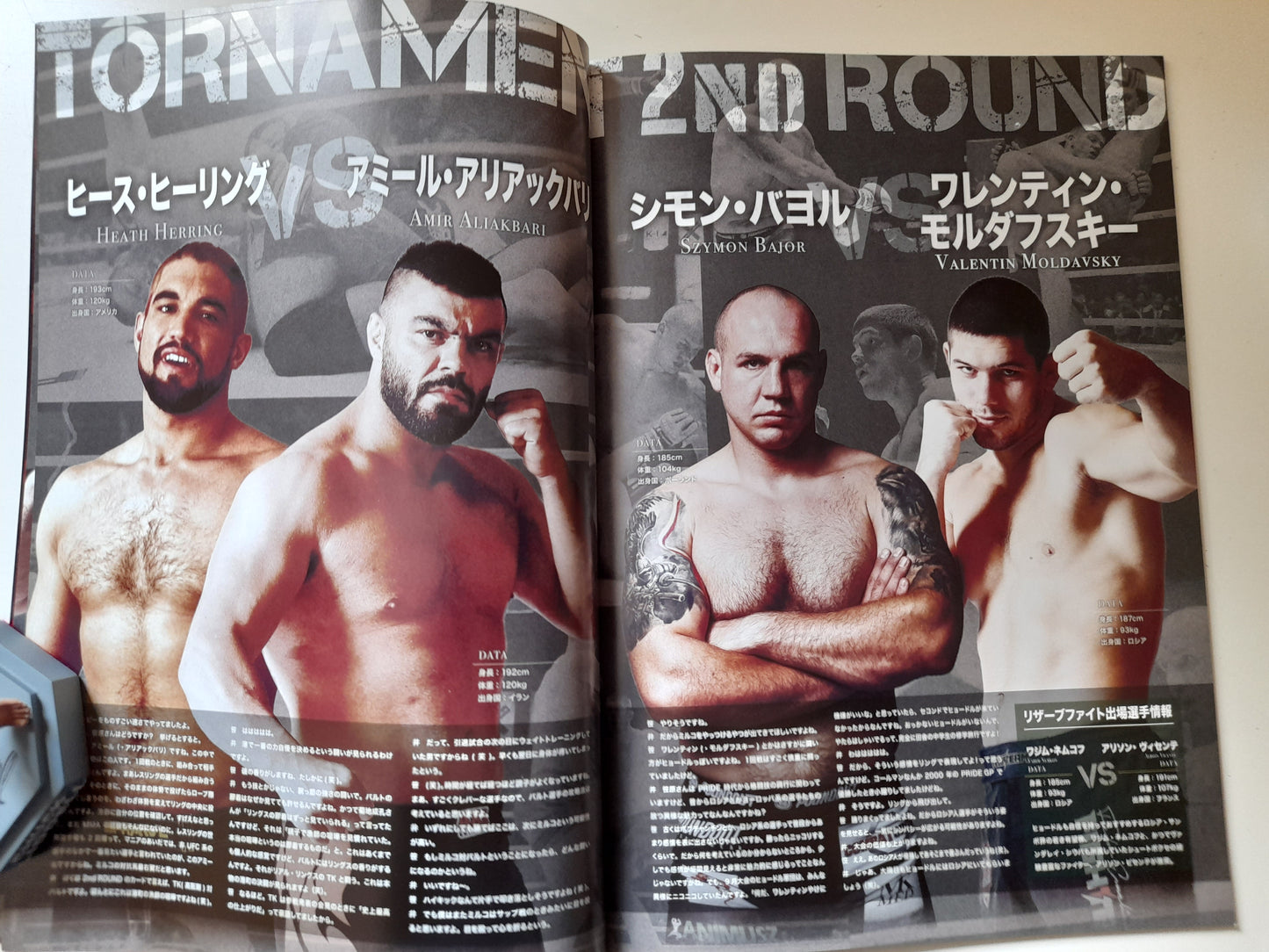 RIZIN Fighting Federation World GP 2016 2nd & Final Rounds - Official Event Program