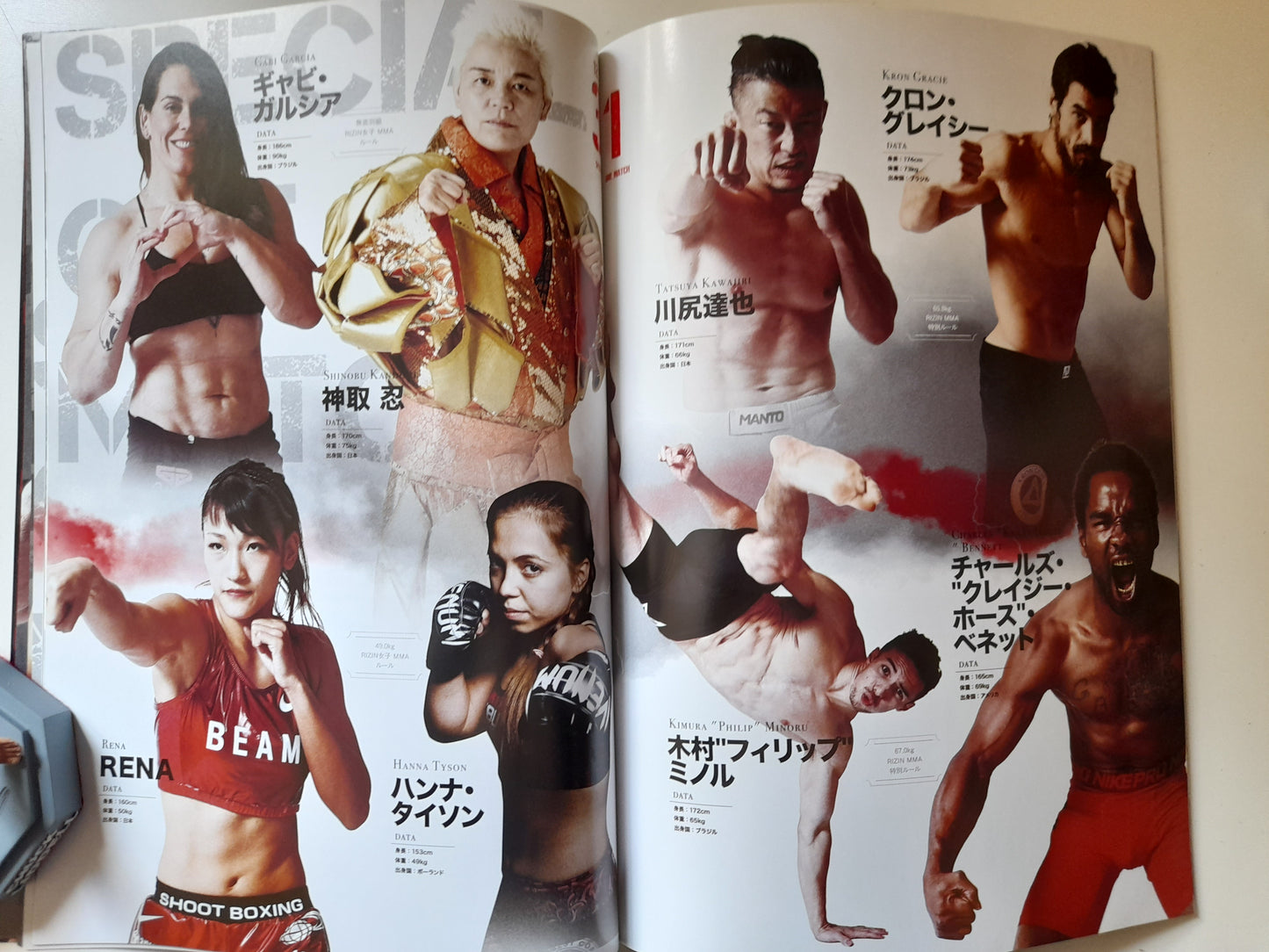 RIZIN Fighting Federation World GP 2016 2nd & Final Rounds - Official Event Program