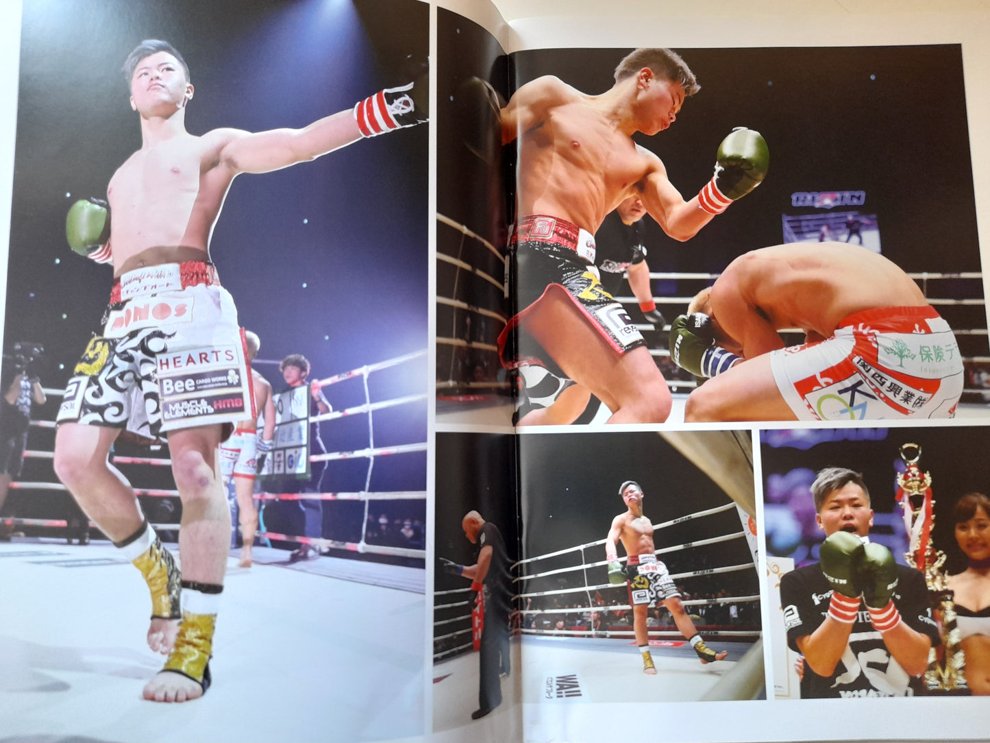 RIZIN Fighting Federation 10 (2018) - Official Event Program [SALE]