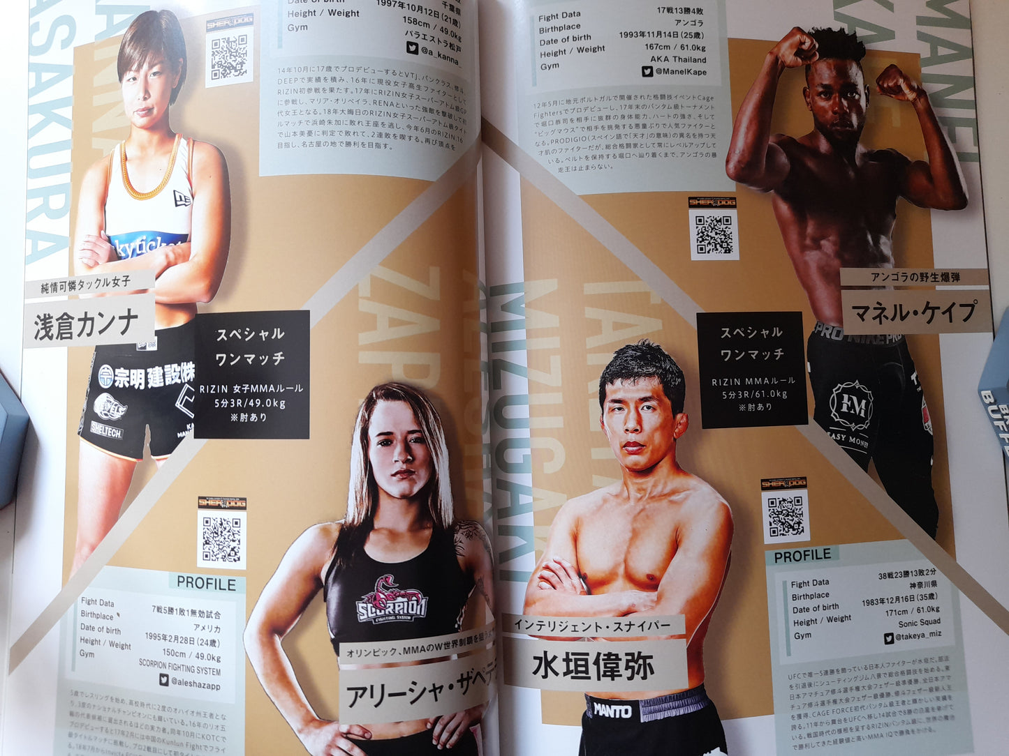 RIZIN Fighting Federation 18 (2019) - Official Event Program [SALE]