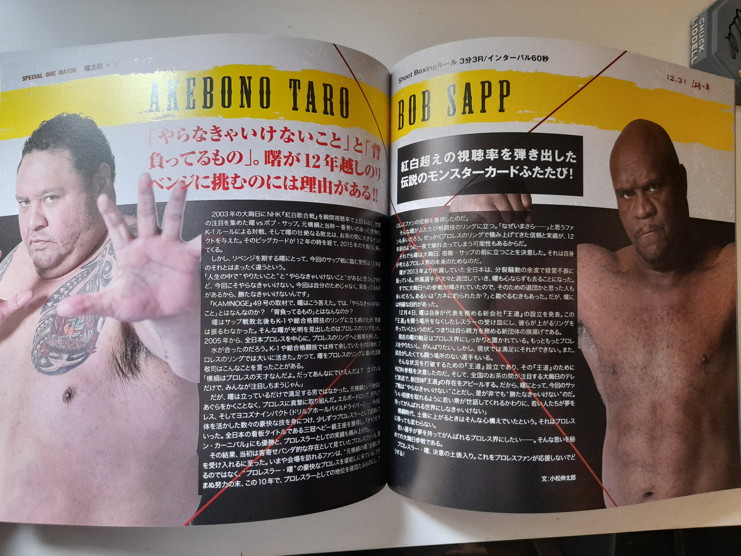 RIZIN Fighting Federation 1st Event - 2015 World GP 1st & Final Rounds (2015) - Official Event Program