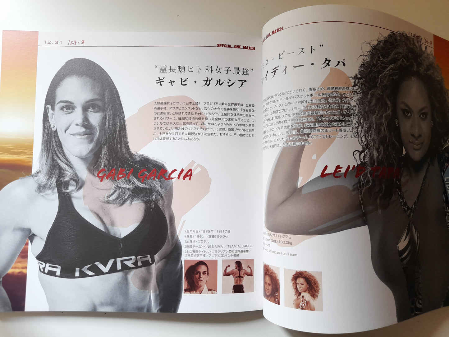 RIZIN Fighting Federation 1st Event - 2015 World GP 1st & Final Rounds (2015) - Official Event Program