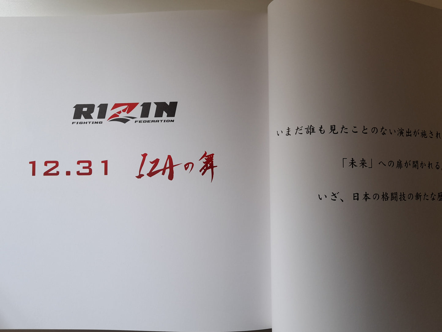 RIZIN Fighting Federation 1st Event - 2015 World GP 1st & Final Rounds (2015) - Official Event Program