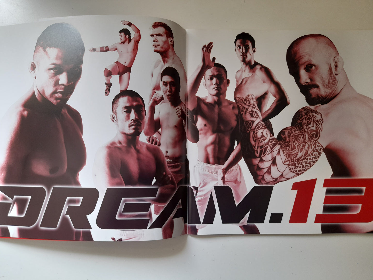 DREAM 13 (2010) - Official Event Program