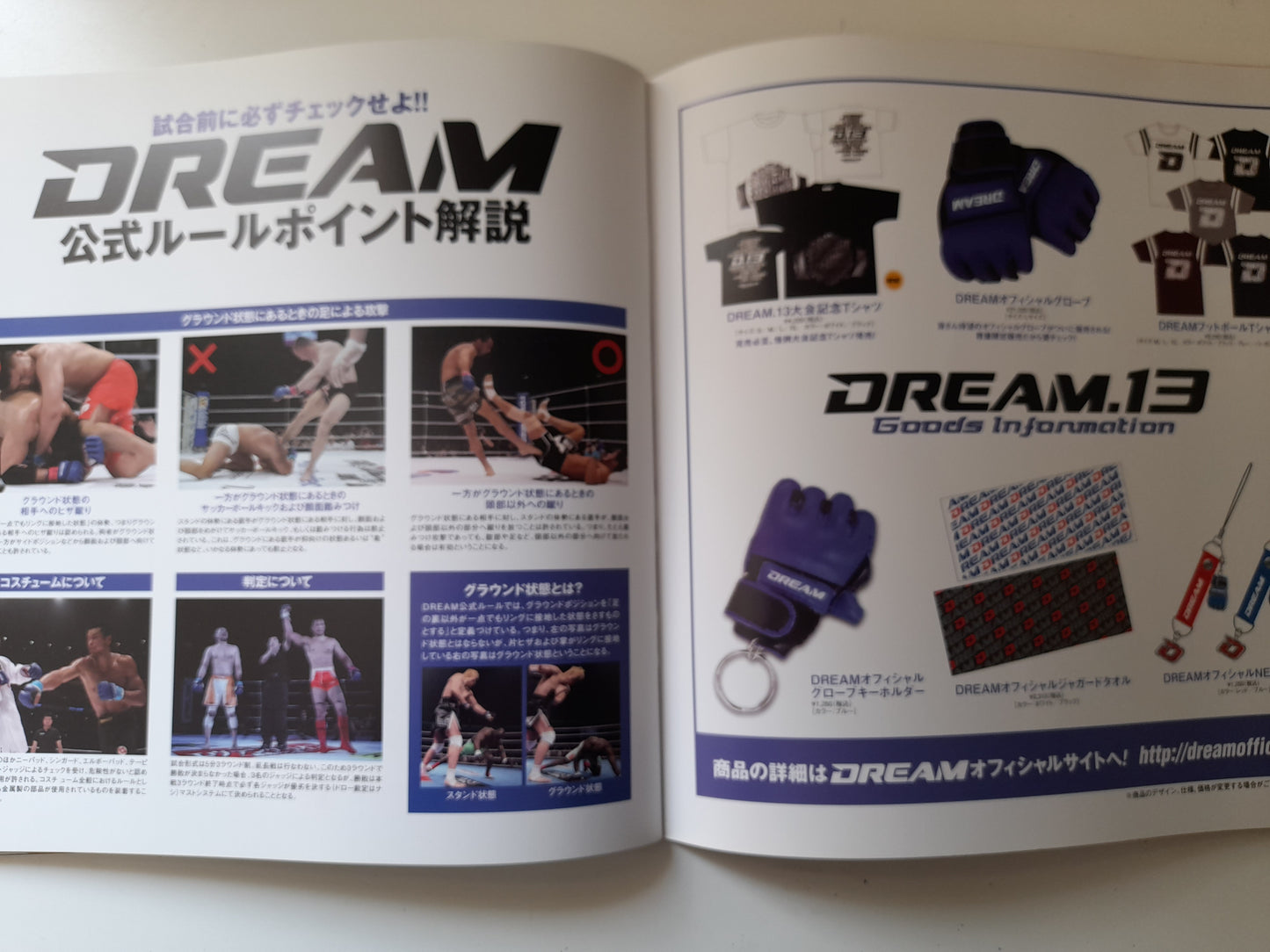 DREAM 13 (2010) - Official Event Program