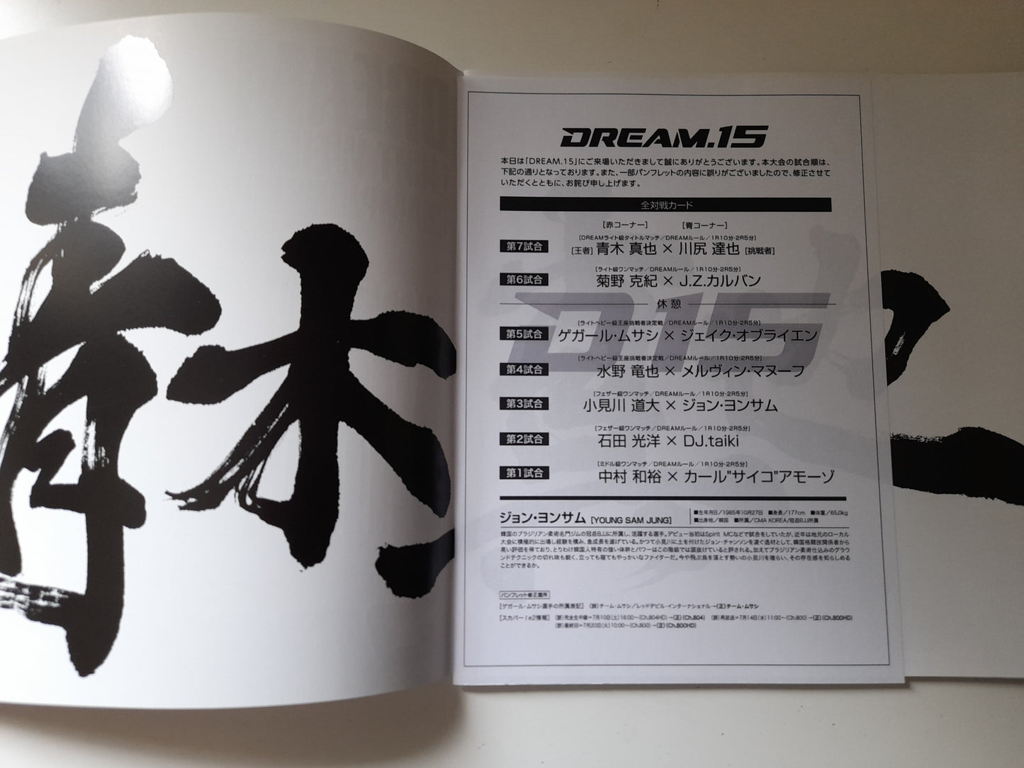 DREAM 15 (2010) - Official Event Program