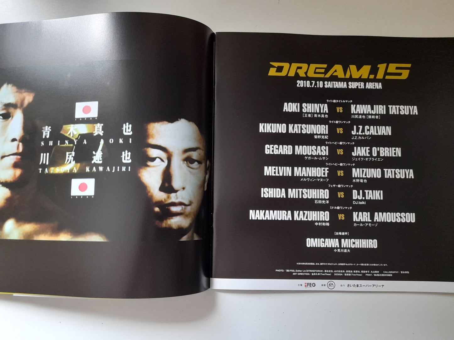 DREAM 15 (2010) - Official Event Program