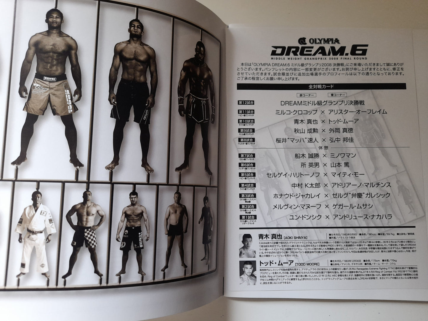 DREAM 6 - Middleweight GP Final Round (2008) - Official Event Program