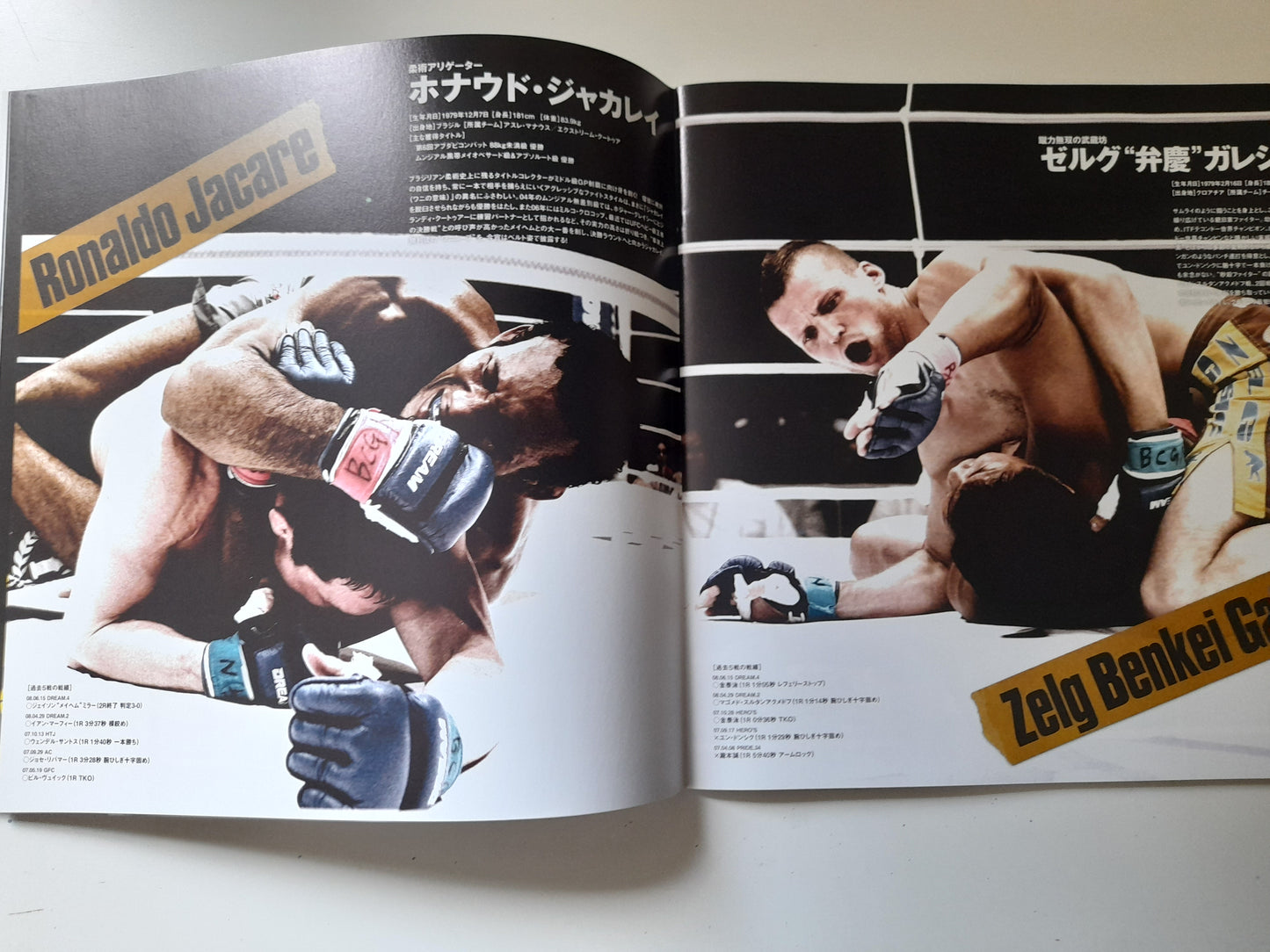 DREAM 6 - Middleweight GP Final Round (2008) - Official Event Program