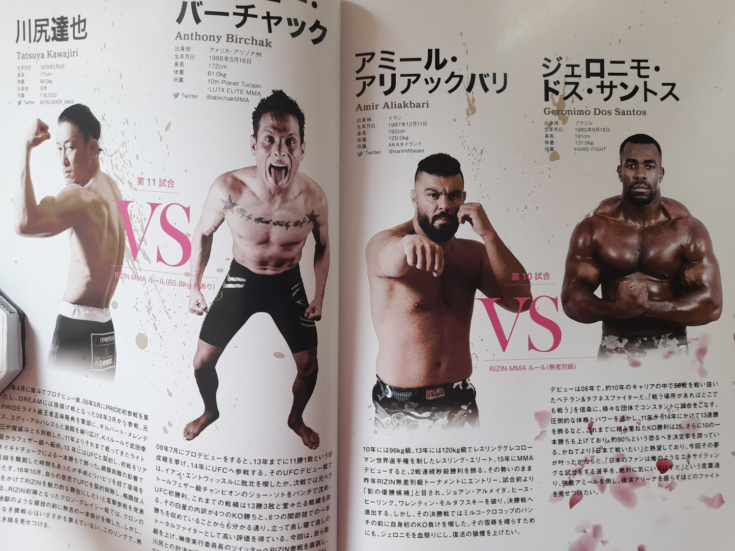 RIZIN Fighting Federation in Yokohama: Sakura (2017) - Official Event Program