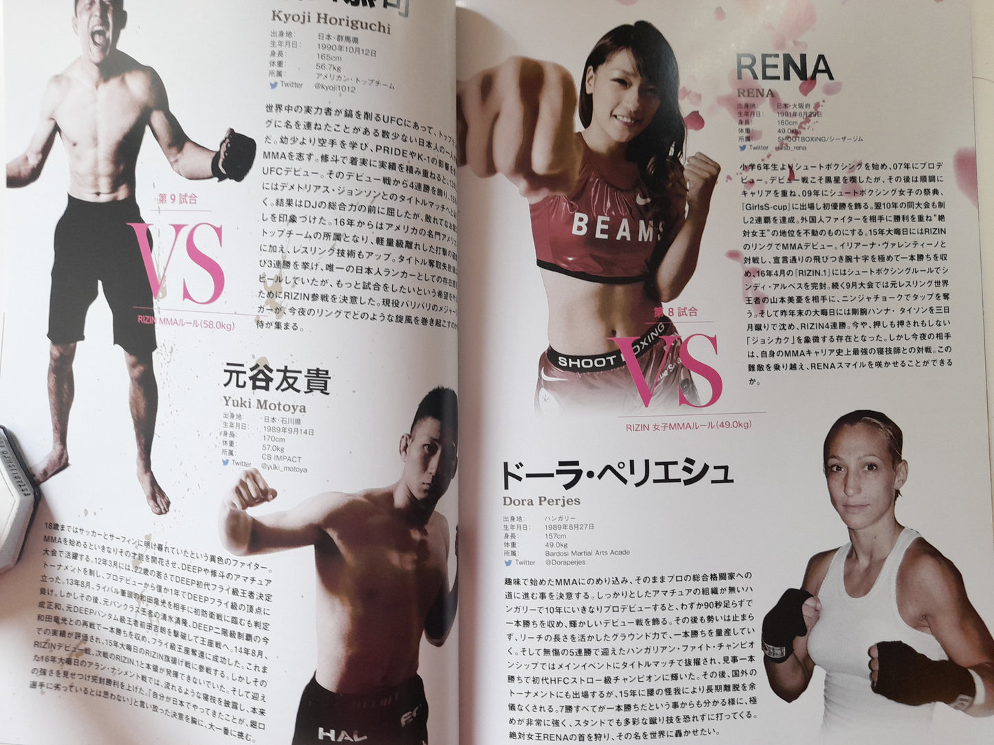 RIZIN Fighting Federation in Yokohama: Sakura (2017) - Official Event Program