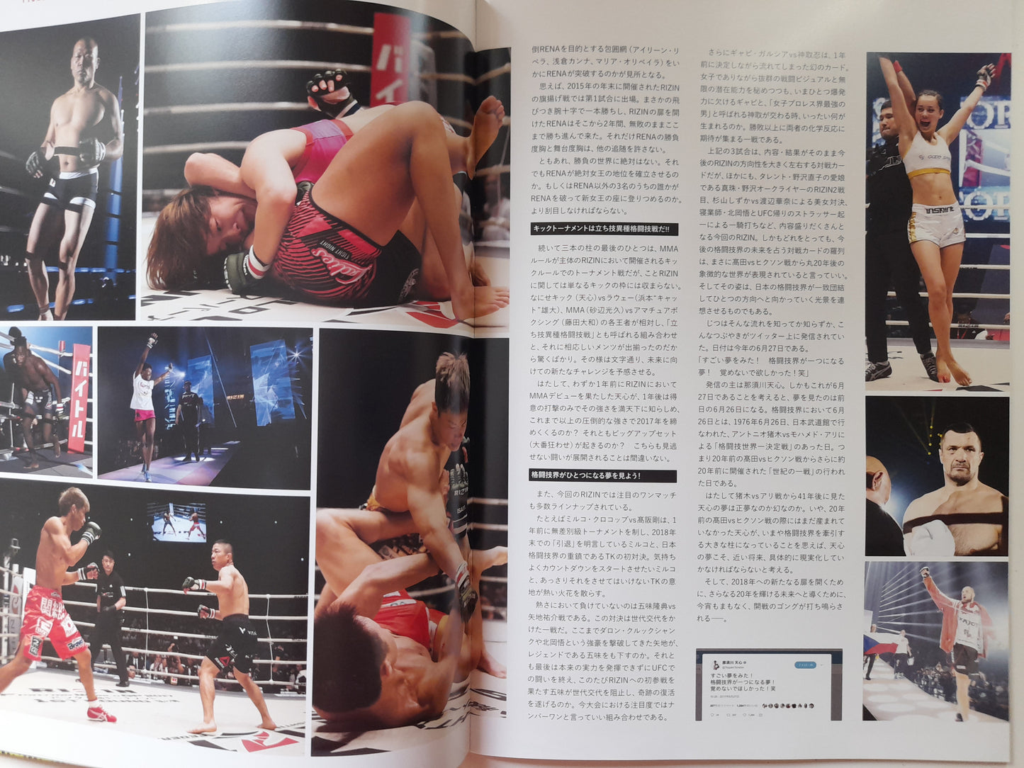 RIZIN Fighting Federation 2017 World GP 2nd Round & Final Round (2017) - Official Event Program