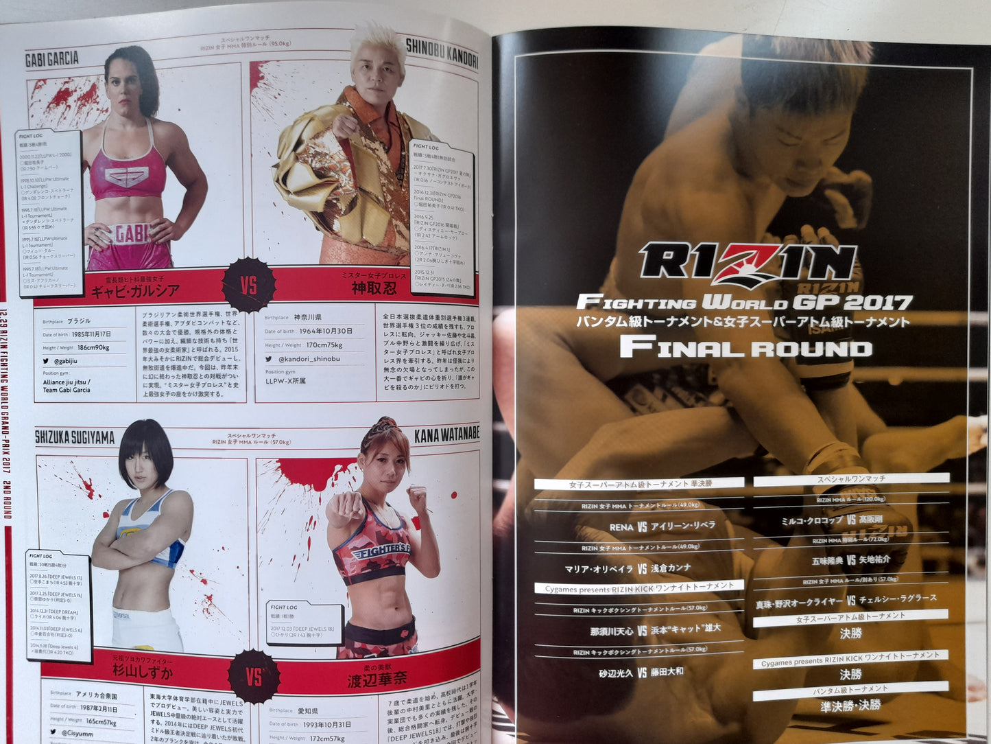 RIZIN Fighting Federation 2017 World GP 2nd Round & Final Round (2017) - Official Event Program