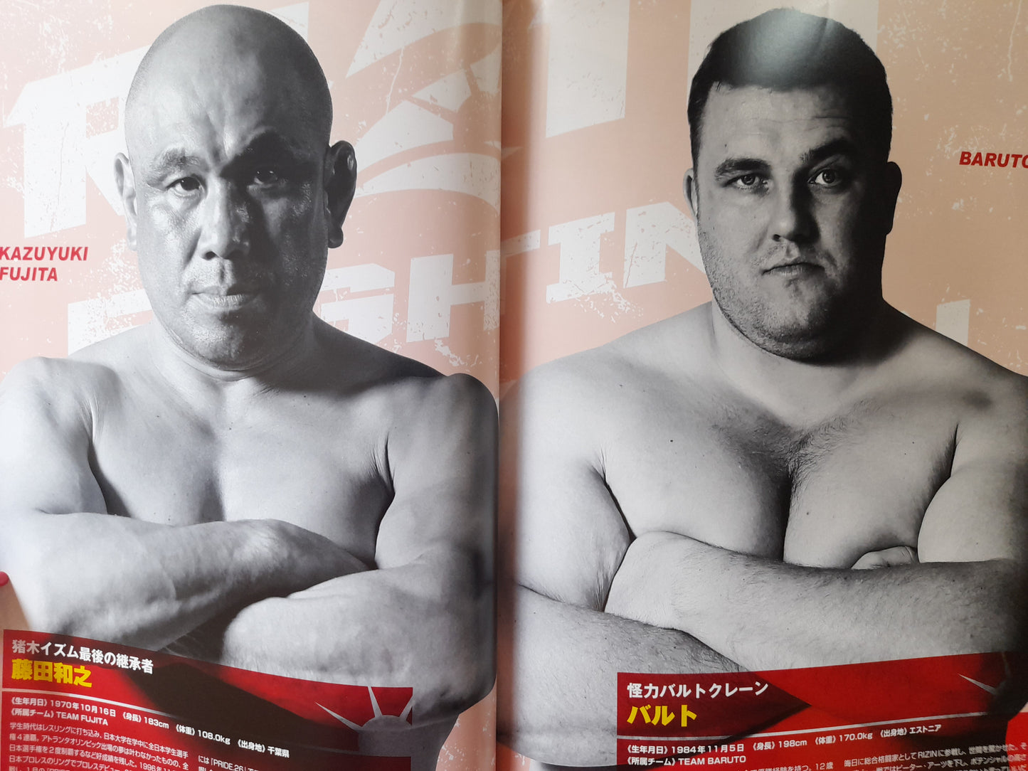 RIZIN Fighting Federation 2016 World GP 1st Round (2016) - Official Event Program