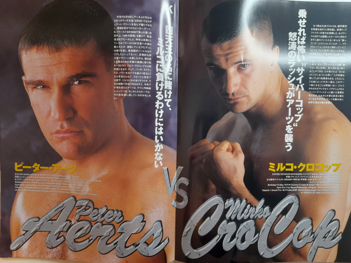 K-1 World Kickboxing GLADIATORS 2001 - Mirko Crocop Vs Peter Aerts (2001) - Official Event Program