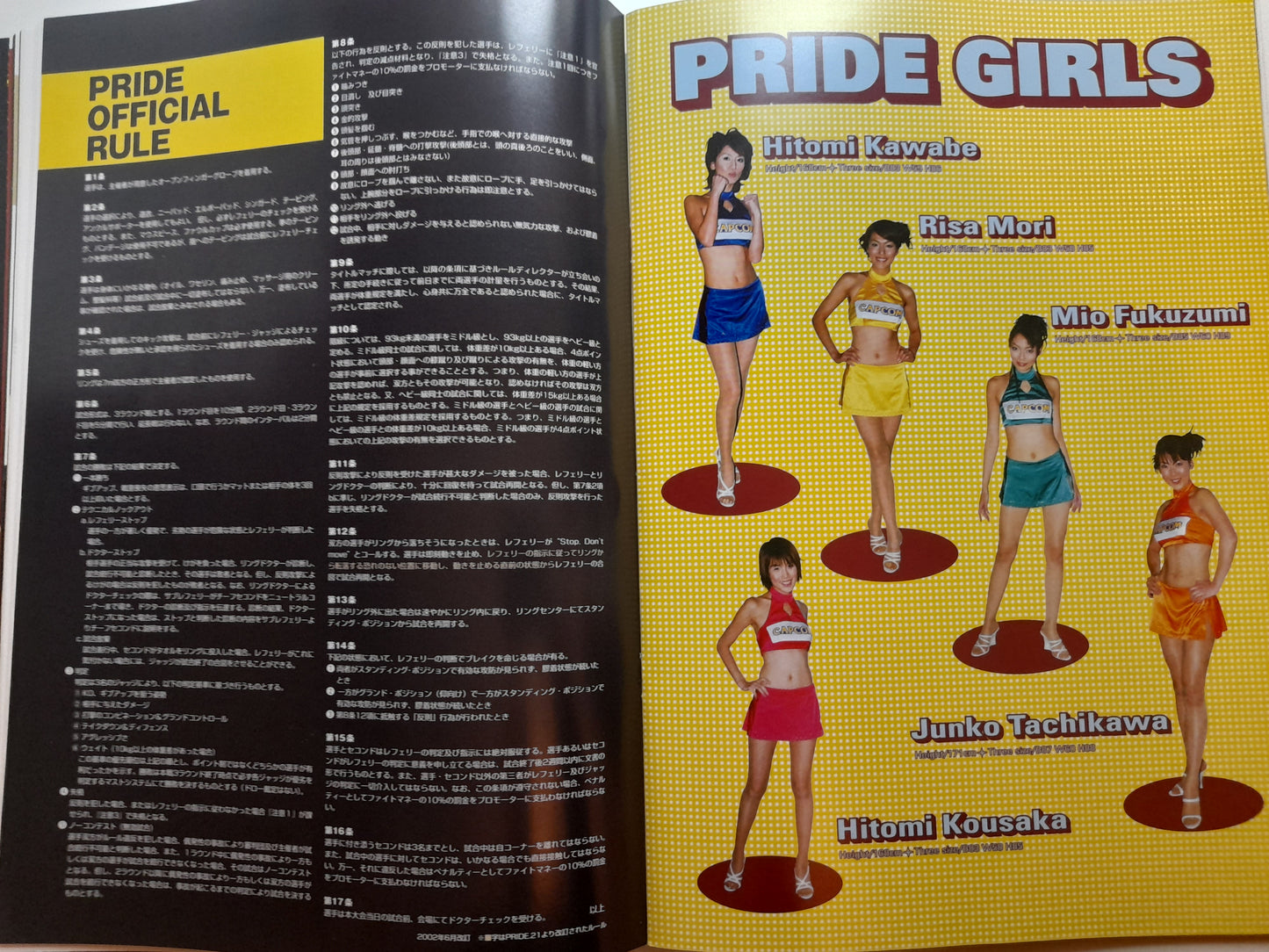 Pride Fighting Championship 24 - Cold Fury 3 (2002) - Official Event Program