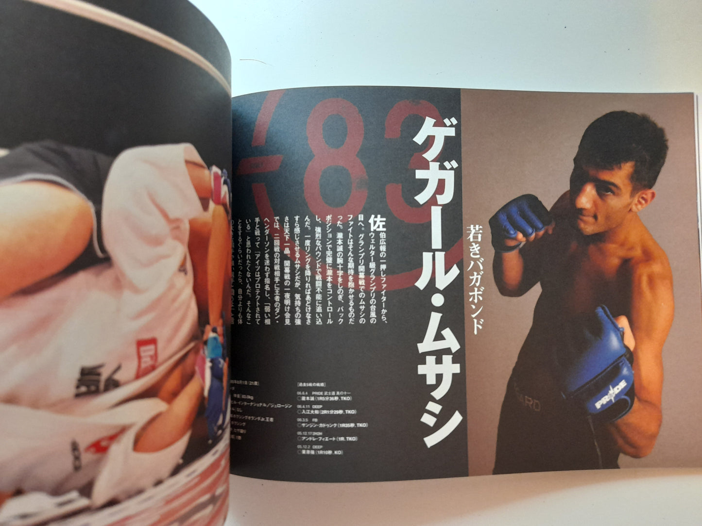 Pride Fighting Championship Bushido 12 (2006) - Official Event Program