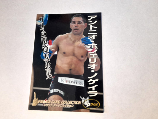 Pride FC DSE 2006 Official Trading Card - #004 Antonio Rogerio Nogueira