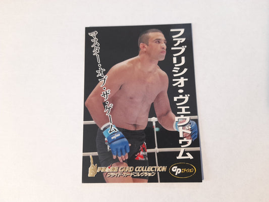 Pride FC DSE 2006 Official Trading Card - #048 Fabricio Werdum