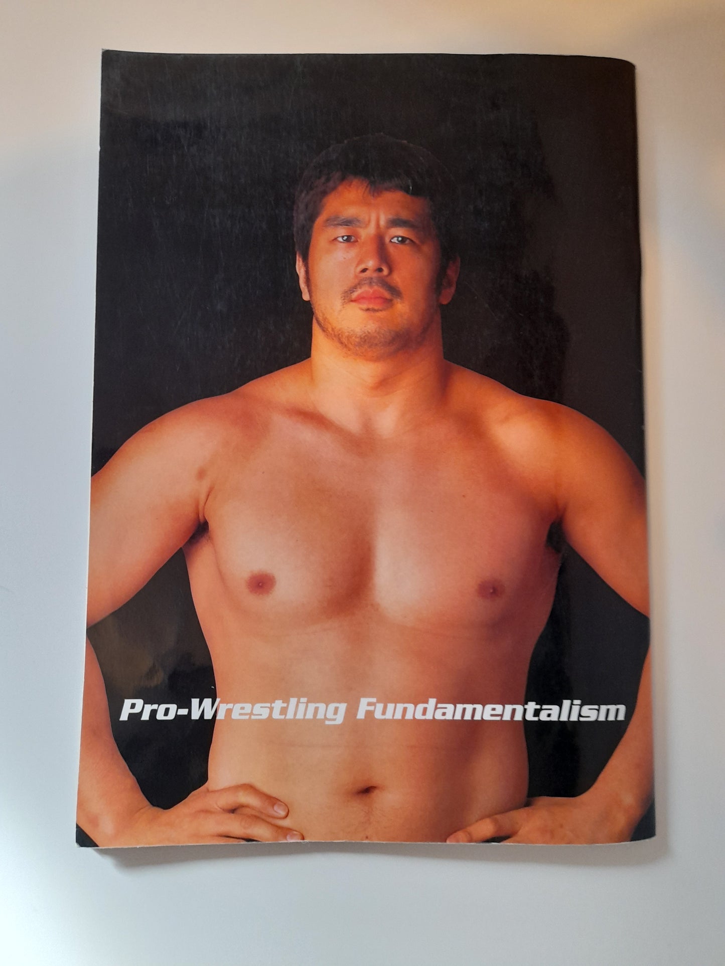 Pride Fighting Championship 17 - Championship Chaos (2001) - Official Event Program [AUTOGRAPHED]