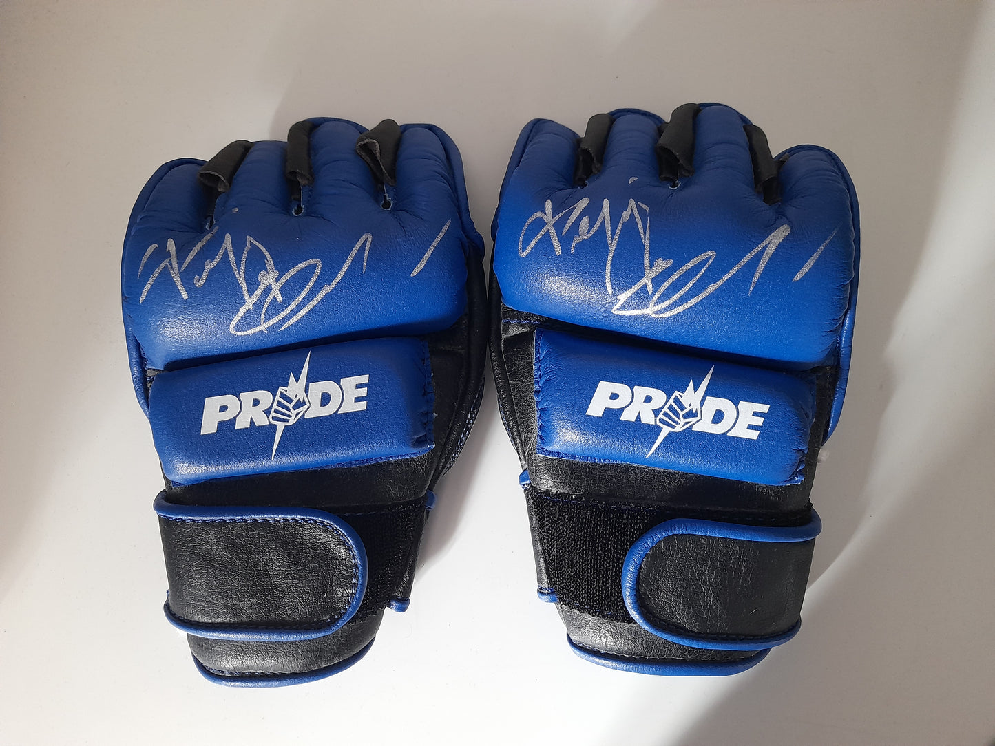 Fedor Emilianenko PRIDE FC "WhiteBolts" Official DSE MMA Fight Glove - Blue - Size L [AUTOGRAPHED]