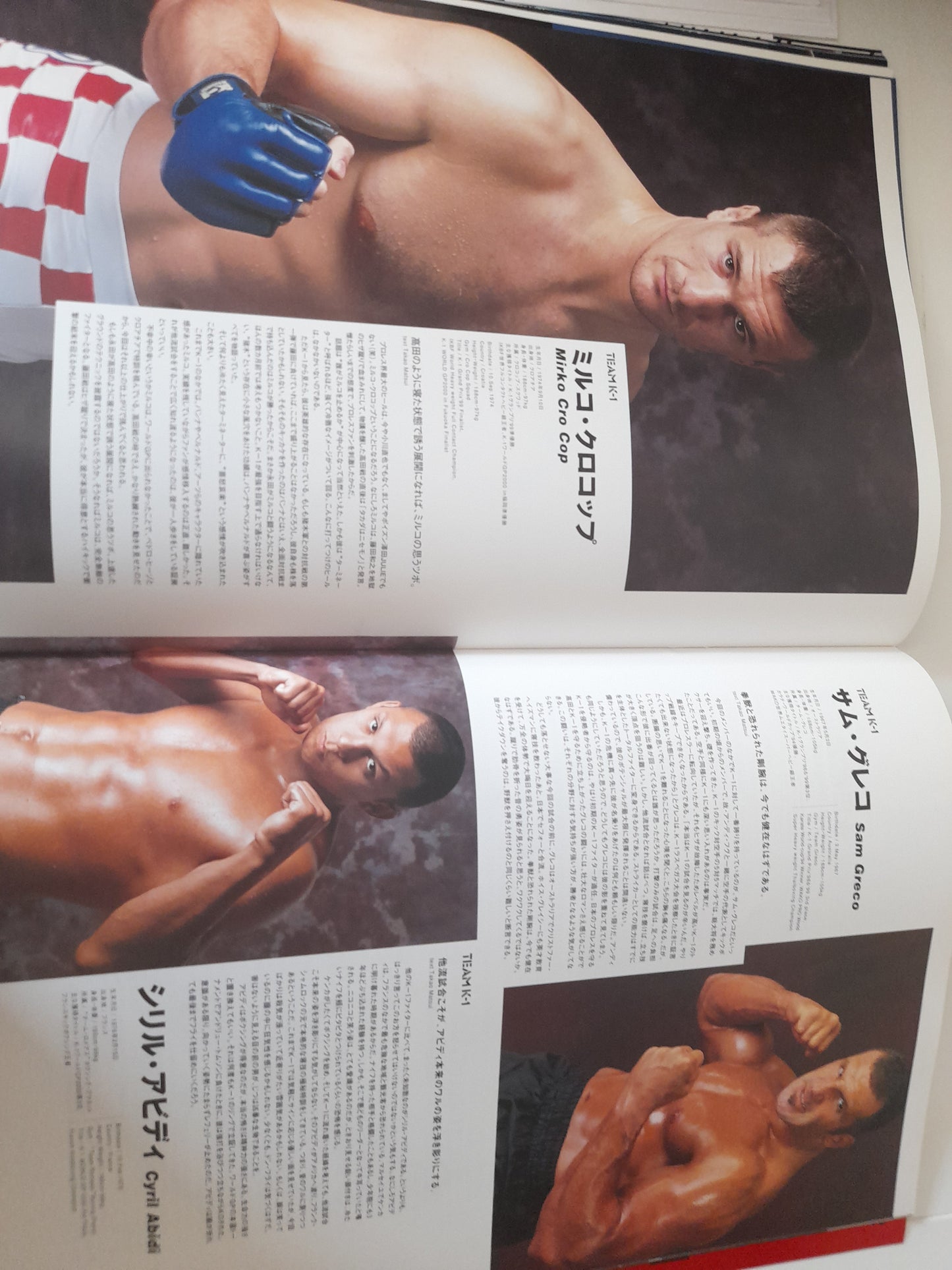 Inoki Bom-Ba-Ye 2001 - Crocop Vs Nagata (2001) - Official Event Program [SALE]