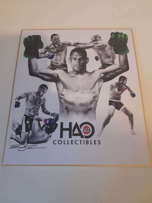 Dan Henderson HAO Collectibles Unreleased Figure Art Shikishi Board