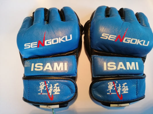 WVR Sengoku Raiden Championship (SRC) Official MMA Fight Gloves